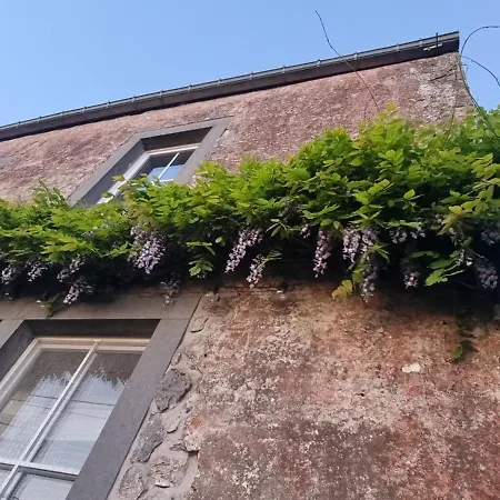 Groot Met Verzicht En Zonsondergang Aan Voet De Ardennen * Mettet