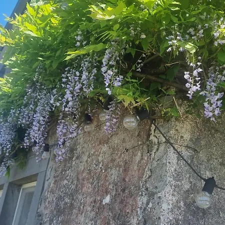 Groot Met Verzicht En Zonsondergang Aan Voet De Ardennen Hébergement de vacances *
