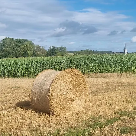 Groot Met Verzicht En Zonsondergang Aan Voet De Ardennen Mettet