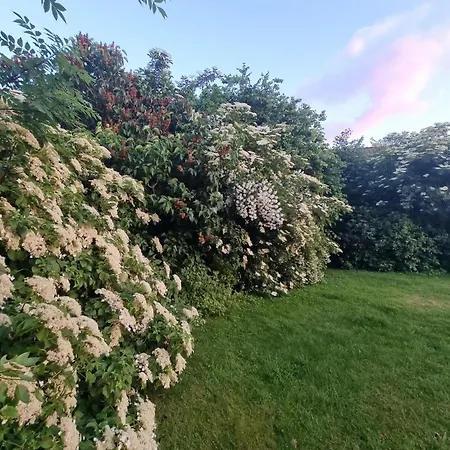 Groot Met Verzicht En Zonsondergang Aan Voet De Ardennen Hébergement de vacances