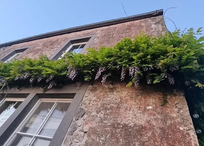 Groot Met Verzicht En Zonsondergang Aan Voet De Ardennen * Mettet