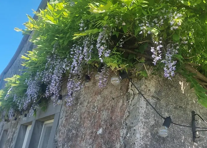 Groot Met Verzicht En Zonsondergang Aan Voet De Ardennen Дом отдыха *