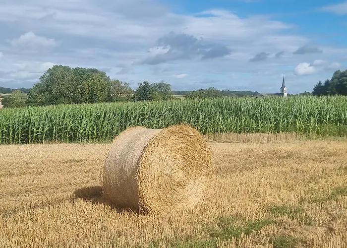 Groot Met Verzicht En Zonsondergang Aan Voet De Ardennen Mettet