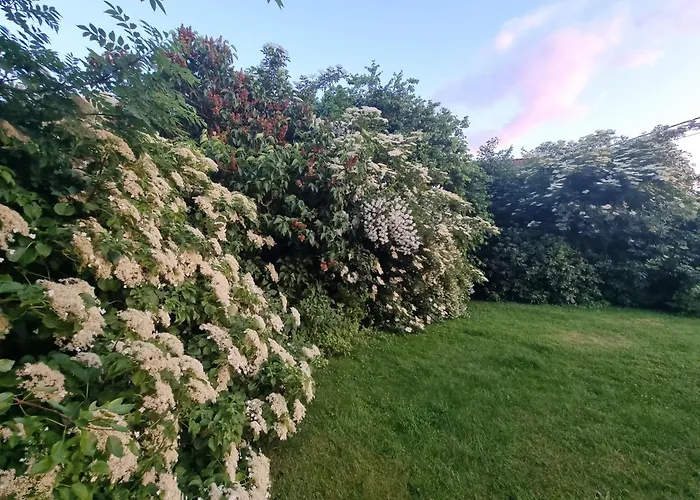 Groot Met Verzicht En Zonsondergang Aan Voet De Ardennen Дом отдыха