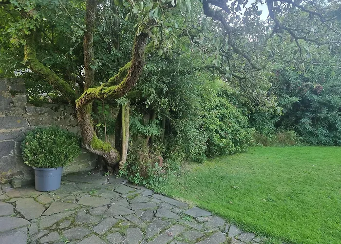 Дом отдыха Groot Met Verzicht En Zonsondergang Aan Voet De Ardennen Mettet